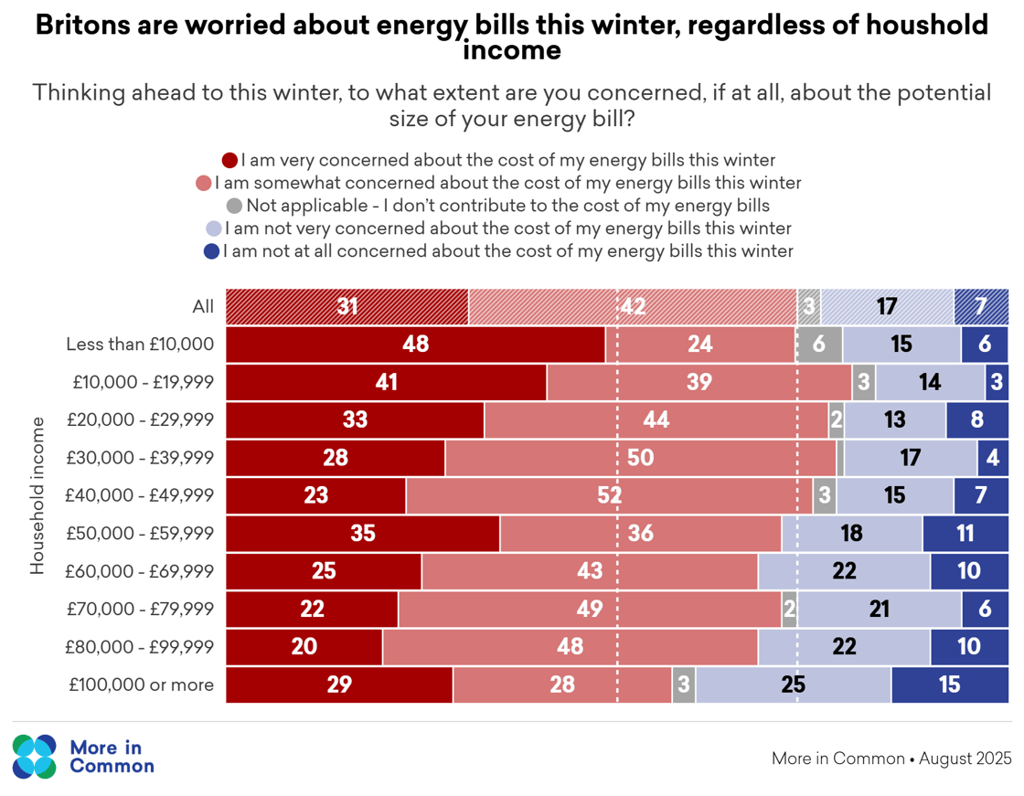 Copy of Energy bill concern by household income @2x (2)